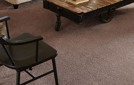 textured carpet store in houston area
