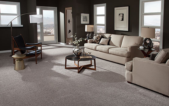 frieze carpets in houston